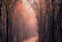 九游体育-败北引发热议！，Scout在TES比赛中爆冷观众掌声雷动的简单介绍